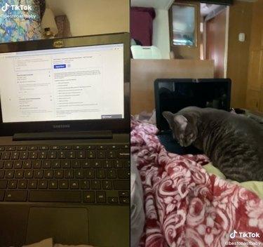 dos capturas de pantalla de una computadora portátil y un gato cerca de una mini computadora portátil