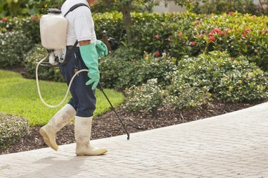 Técnico de controle de pragas usando equipamento de pulverização portátil