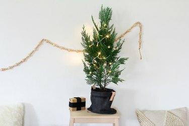 un piccolo albero di Natale in vaso decorato con poche luci siede su uno sgabello