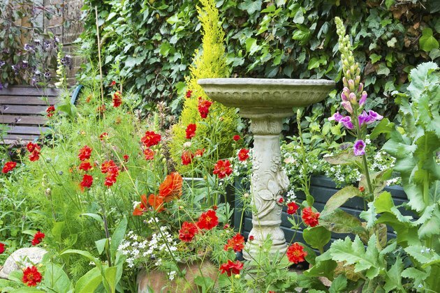 Literie d'été fleurs avec bain d'oiseaux en pierre décorative