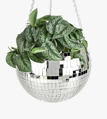 Plantador de bola de discoteca de 8 ”com planta de folhas verdes dentro, pendurada em uma corrente com fundo branco
