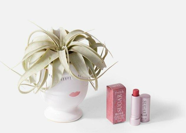 airplant in vaas met lippenbalsem