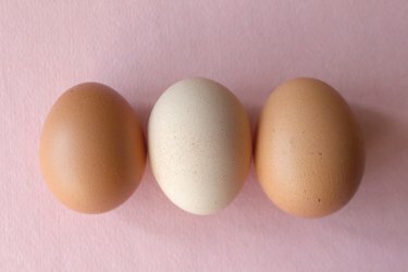 du rudi kiaušiniai ir vienas baltas kiaušinis rausvame fone