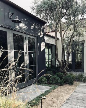 exterior de casa preto rodeado por vegetação