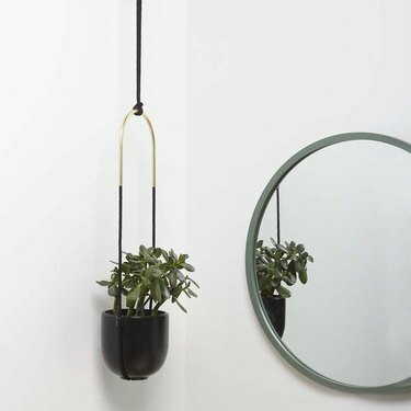 Umbra Bolo Pendurado Plantador,
