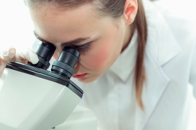 Retrato de una joven investigación científica con microscopio en un laboratorio, biotecnología, ciencia, química