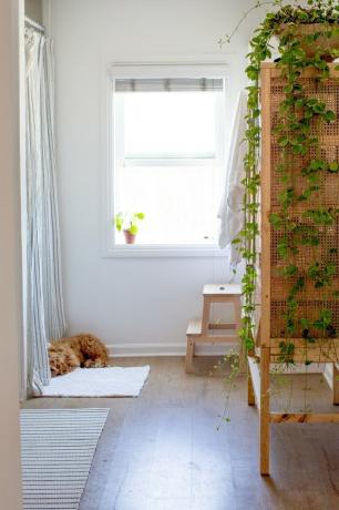 banheiro com armário de linho de madeira, planta verde, banquinho de madeira, janela aberta com planta no peitoril da janela, gato laranja, piso de madeira vinil