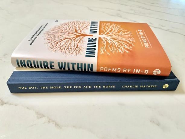 Dois livros apoiados em bancada de mármore
