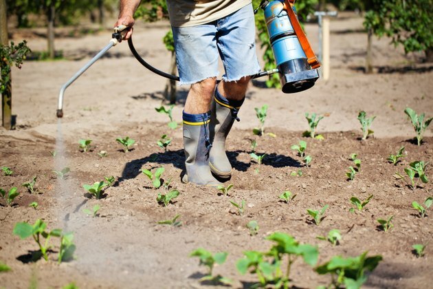 Pest Control Worker Insektmiddel Sprøyting av et plantefelt