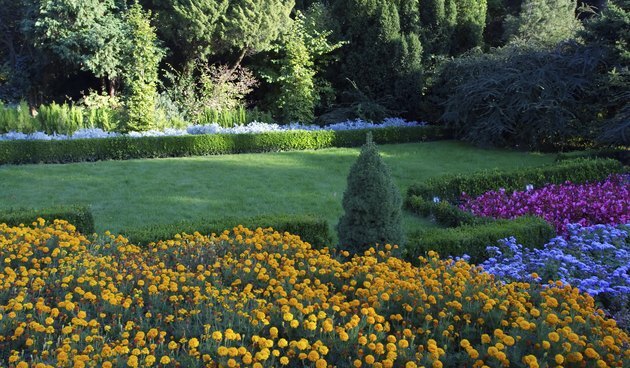 Flores no parque