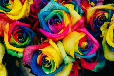 Un bouquet di rose arcobaleno