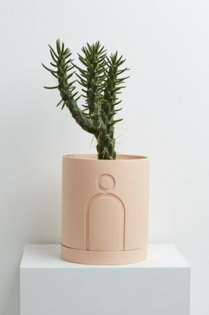 Capra Designs grande plantador de gravura