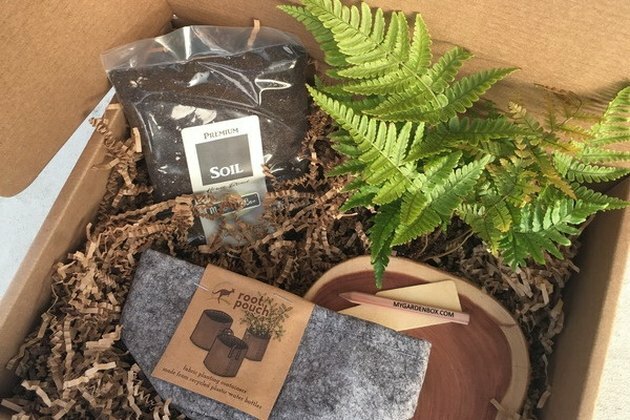 Kit de jardinagem