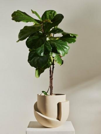 plantador de piso geométrico cor de areia