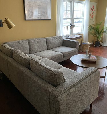 Um corte cinza em uma sala amarela com uma mesa de centro redonda; uma palmeira no canto