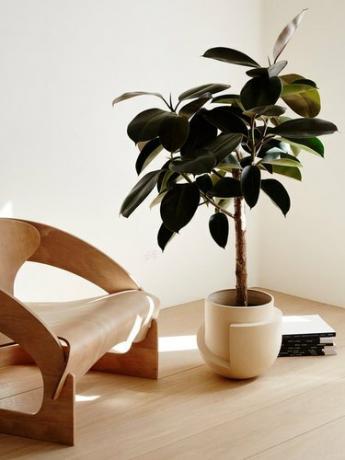 plantador de piso geométrico cor de areia