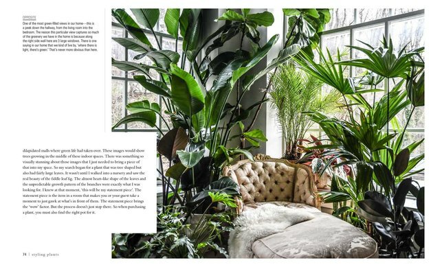 "Wild at Home" door Hilton Carter boek interieur