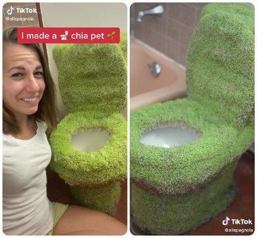 Chia Pet wc