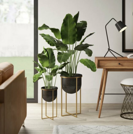 Best Planter-bestemmingen Wayfair