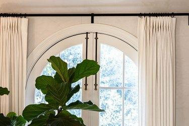 نافذة مقوسة بستائر بيضاء ونبتة شجرية
