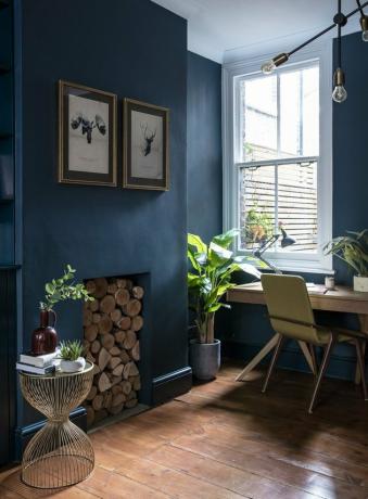 home office azul com plantas verdes e pisos de madeira
