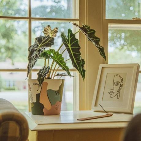 طاولة جانبية مع نبات في إناء مزخرف وطباعة فنية مؤطرة
