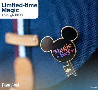 Disneyland Magic Key prgoram
