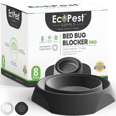 Um produto bloqueador de percevejos Eco Pest