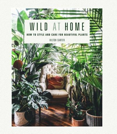 "Wild at Home" door Hilton Carter boekomslag