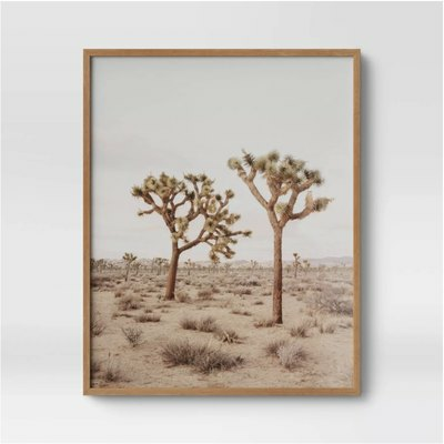 24 "x 30" Joshua Tree ingelijste print - Threshold ™