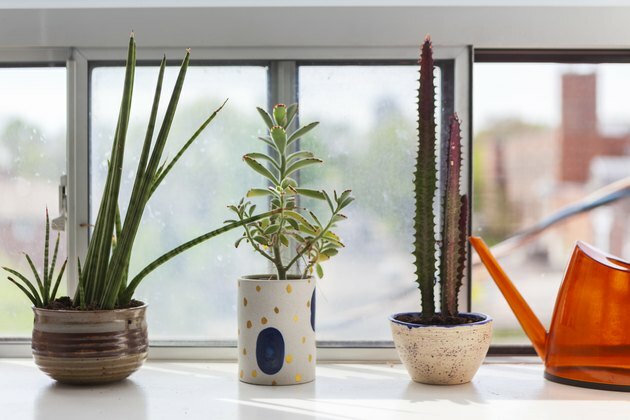Keramika su augalais
