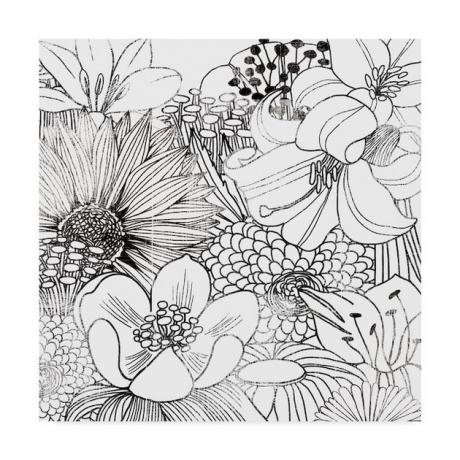 Handelsmerk Fine Art 'Contemporary Garden II Black and White' Canvas Art door Michael Mullan