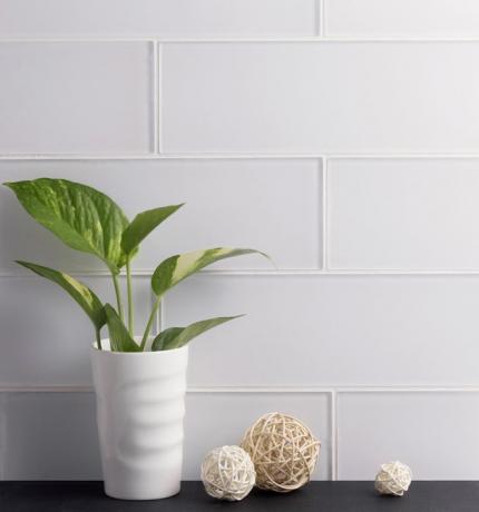 Azulejo WS Tiles Premium Series Individual 4 "x 12" Glass Subway em Branco
