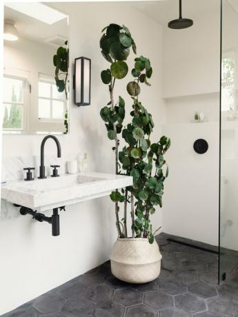 Banheiro moderno com azulejos cinza, chuveiro aberto, ferragens pretas e plantas altas.