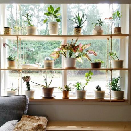 houten raamplanken in de woonkamer met kleine potplanten