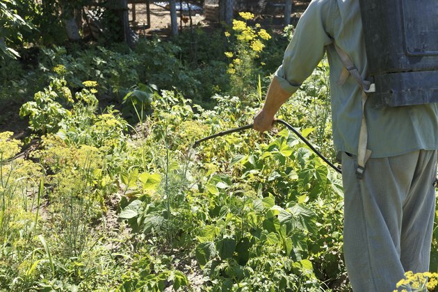 arbeider sprayer plantevernmiddel på potetplantasjen