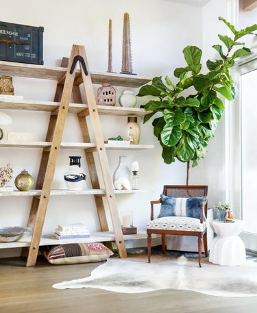 Moderne woonkamer met planken, stoel, grote kamerplant.