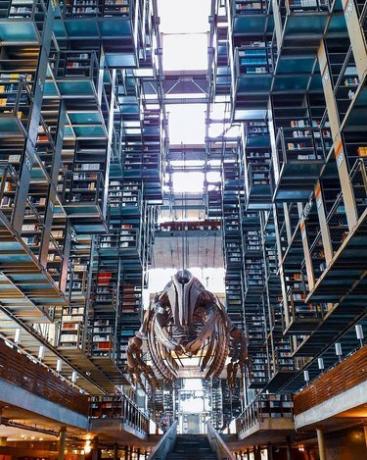 foto de estantes da biblioteca vasconcelos da cidade do méxico