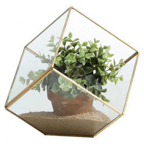 Kubus messing en glazen terrarium