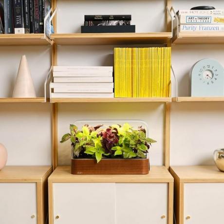 West Elm Edn Garden