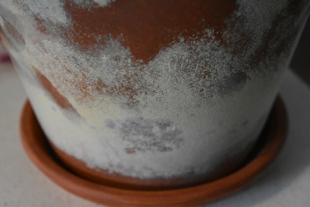 وعاء من الطين مع تراكم الملح