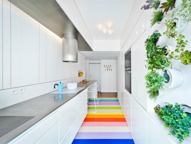 moderná biela kuchyňa s hydroponickou vertikálnou záhradou a dúhovou podlahou