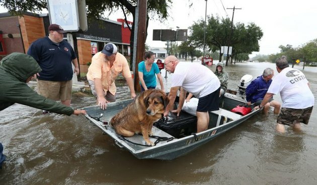 Uragano „Harvey“ aukos.