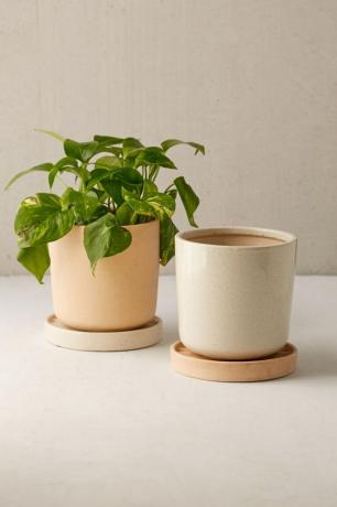 urban outfitters planters