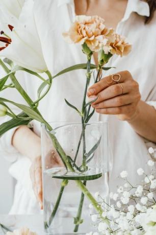 Legg blomster i vann umiddelbart etter at du har kuttet stilkene