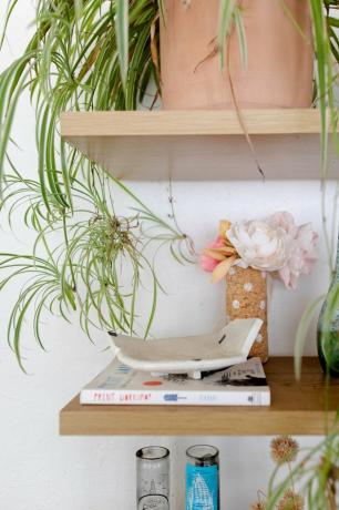 polc növényekkel és könyvekkel