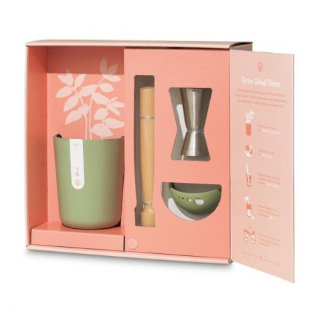 Conjunto de presente Mint Julep