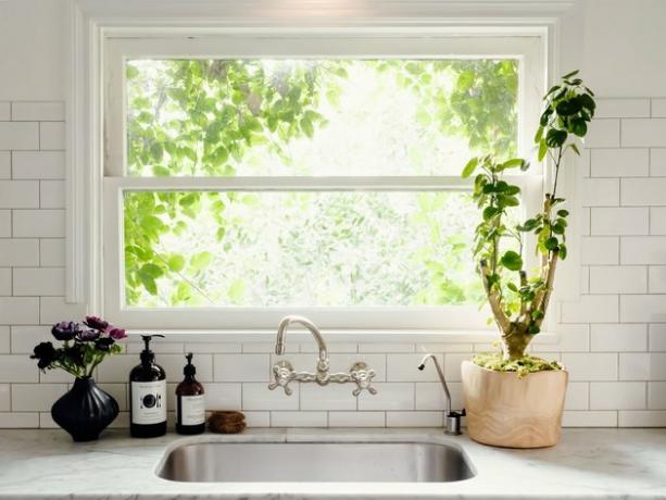 Évier de cuisine devant la fenêtre avec plante