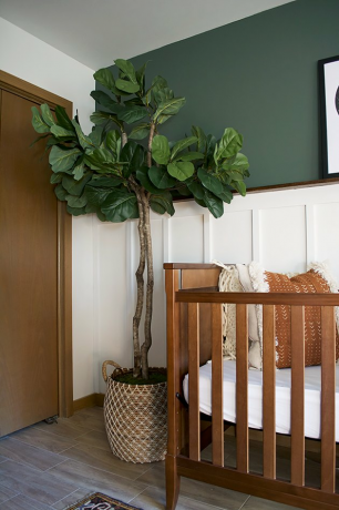 Groene boho kamer met faux vioolblad vijgenboom en wieg