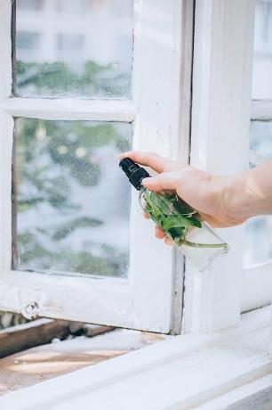 Zelfgemaakte spray om insecten buiten de keuken te houden